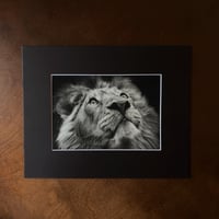 Image 2 of “Moonlit guardian” mini matted fine art print 