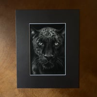Image 2 of “Midnight majesty” mini matted fine art print