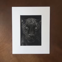 Image 1 of “Midnight majesty” mini matted fine art print