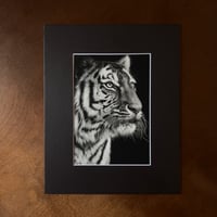 Image 2 of “Poise before the pounce” mini matted fine art print