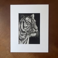 Image 1 of “Poise before the pounce” mini matted fine art print