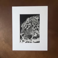 Image 1 of “Sovereign Stillness” mini matted fine art print 