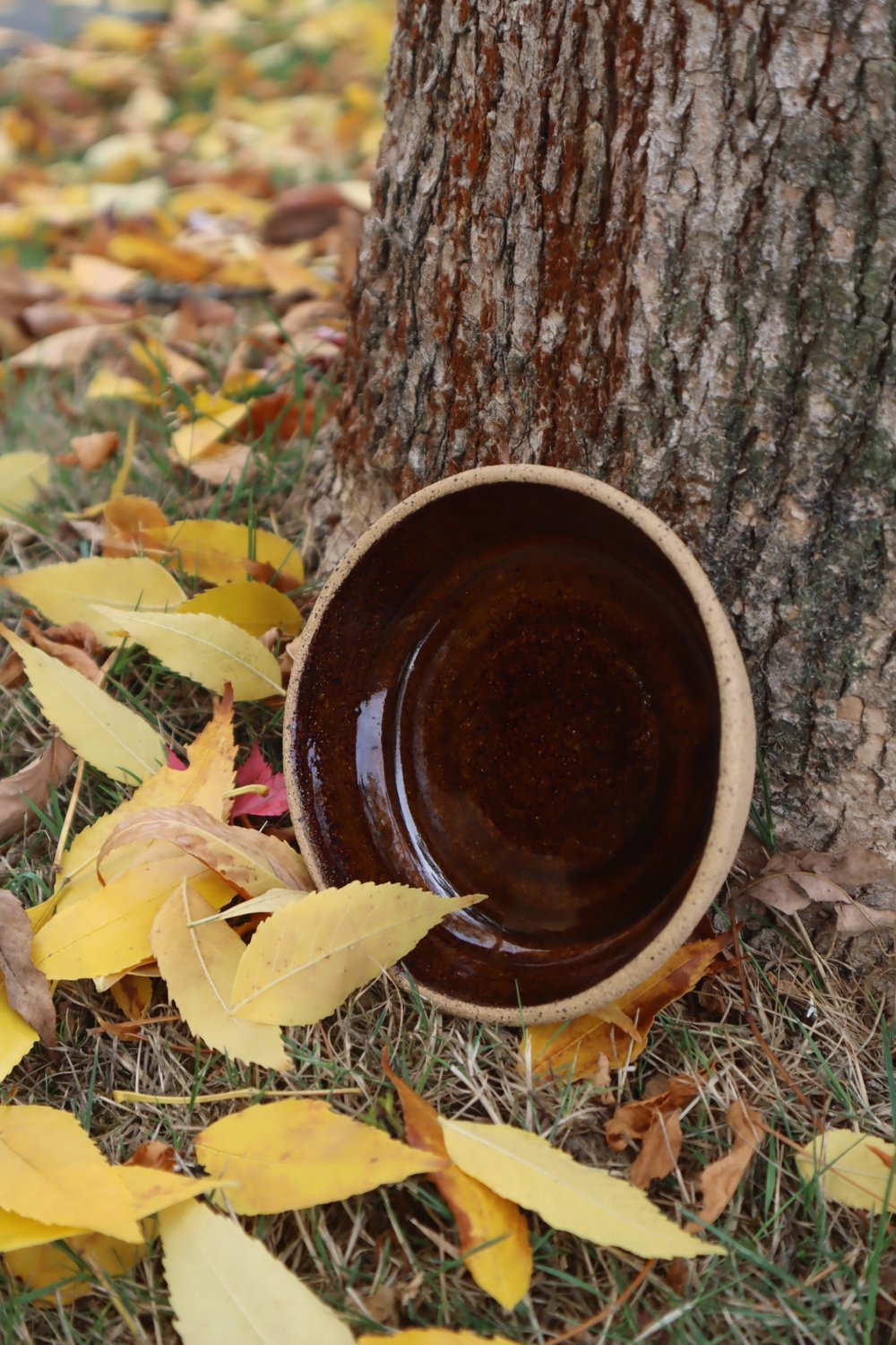 Image of Banchan Plate (Kuri Brown 栗)