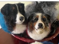 Image 5 of Christmas Sale: Custom  dog  ornaments -$50 ea.or 2/$90 3/$120