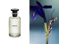 Image 2 of Orange Louis Vuitton 