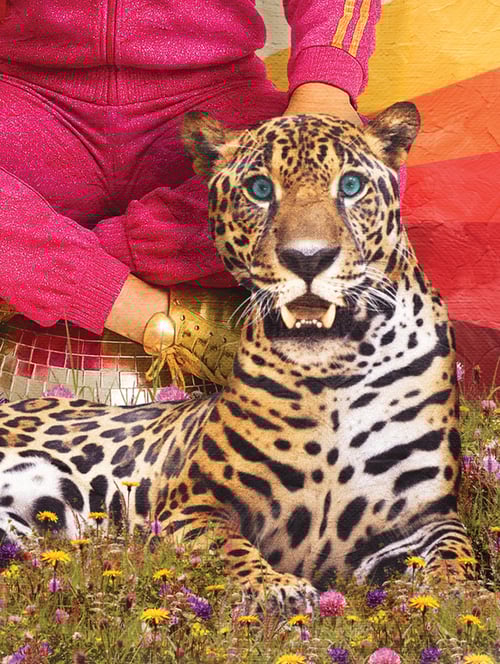 Image of Lady Madonna 86