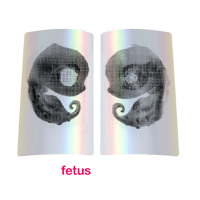 Image 2 of 2"x4" Holo  Sticker