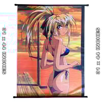 Vintage Burn Up W Wall Scroll