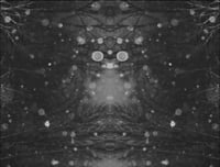 [PREORDER] The Cursed Vault of Dust