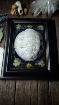 Image 4 of Shell and Floral Frame