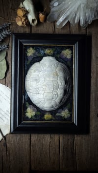 Image 1 of Shell and Floral Frame