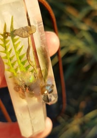 Image 2 of XL Elestial Moldavite 