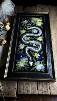 Image 4 of Snake Skeleton and Floral Wall Frame