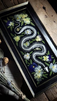 Image 5 of Snake Skeleton and Floral Wall Frame