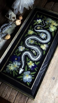 Image 3 of Snake Skeleton and Floral Wall Frame