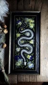 Image 1 of Snake Skeleton and Floral Wall Frame