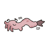 Shrimpule Wiggly Sticker
