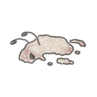 Shrimpule Puddle Sticker
