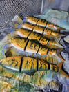 Yellow perch shiva shad crank 