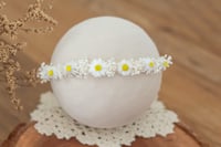 Newborn/Sitter Halo 64