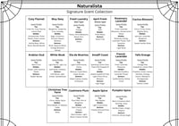 Image 5 of Refillable Hanging Car Air Freshener