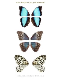 Image 4 of Fairy Wings PDF Tutorial