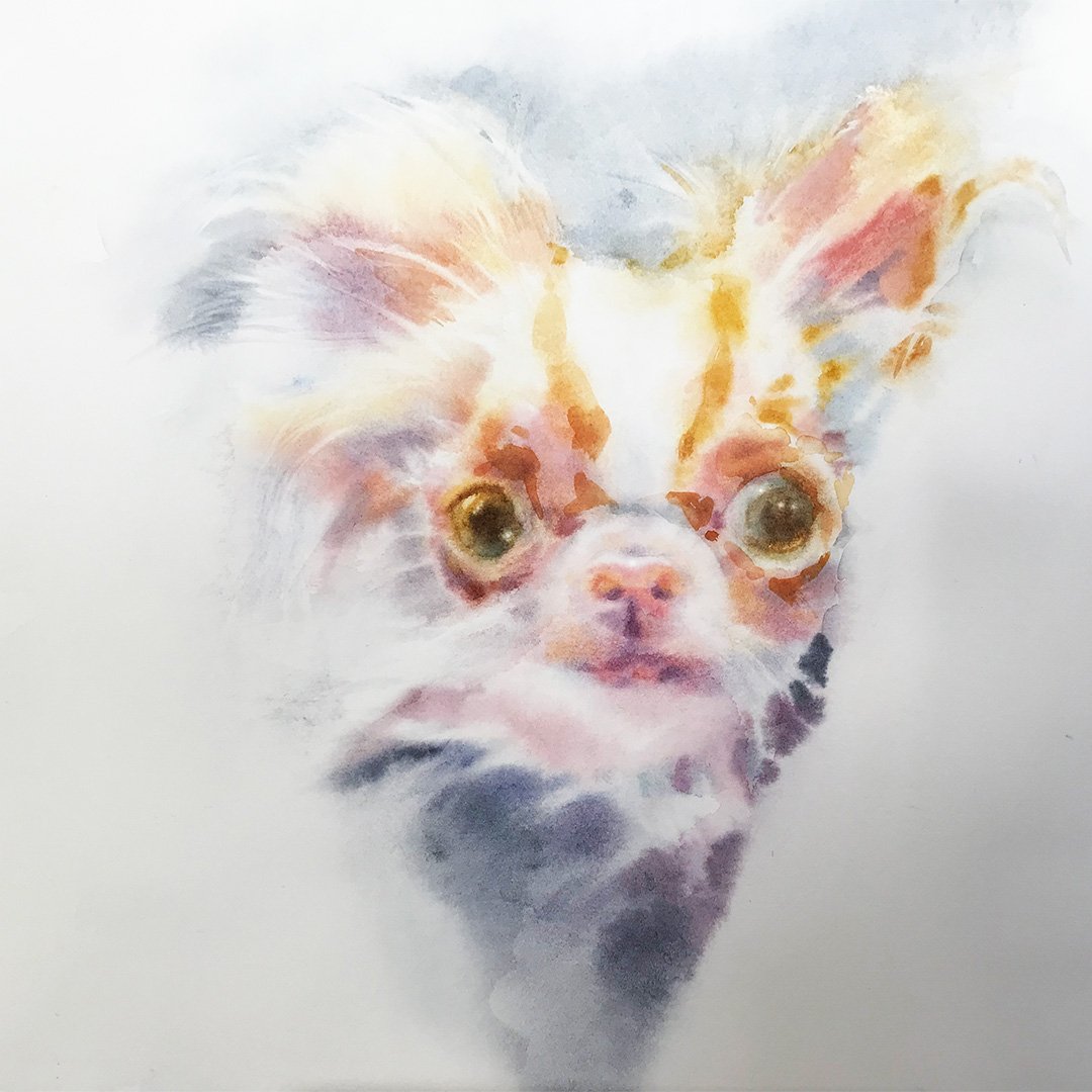 Image of “ 2 Demi Moore's Pilaf.littlemouse “