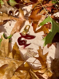 Arsène parfum de velours 