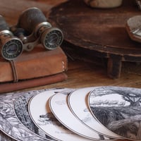 Image 1 of Stickers- the Full Forest Collection