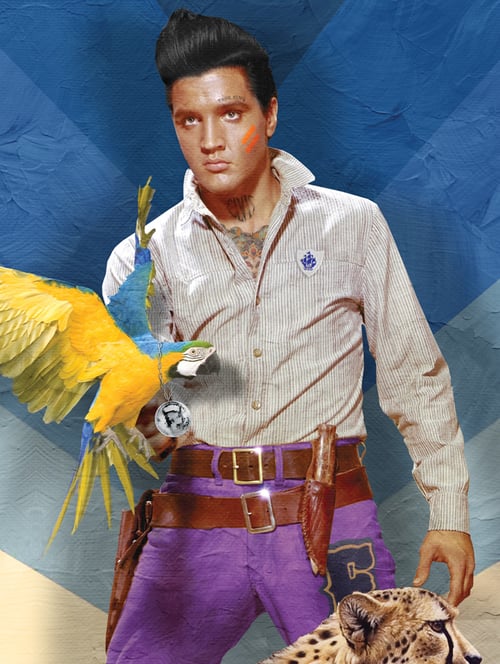 Image of Elvis in the Wild