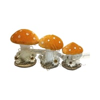 Image 1 of Orange  Velvet Toadstool  