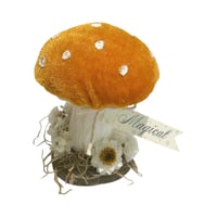 Image 3 of Orange  Velvet Toadstool  