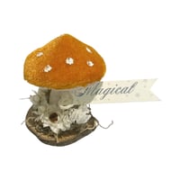 Image 4 of Orange  Velvet Toadstool  