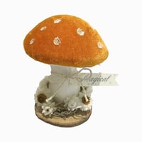 Image 2 of Orange  Velvet Toadstool  