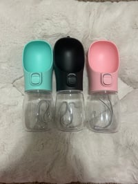 Travel Water Bottles 