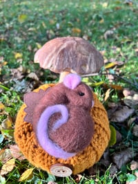 Pumpkin Mouse 