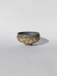 Image 1 of Bol Tellus n°1