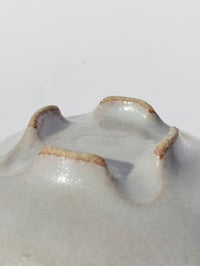 Image 5 of Bol Tellus n°3