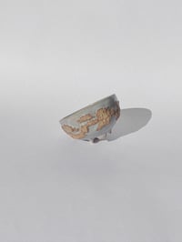 Image 1 of Bol Tellus n°3
