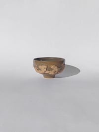 Image 1 of Bol Tellus n°2