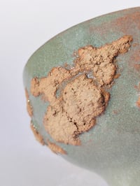Image 4 of Bol Tellus n°4