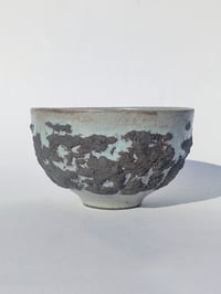 Image 2 of Bol Tellus noir