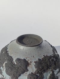 Image 5 of Bol Tellus noir