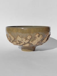 Image 2 of Saladier Tellus n°2