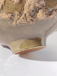 Image 5 of Saladier Tellus n°2