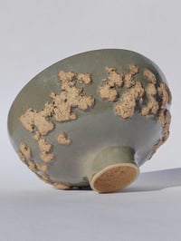 Image 2 of Saladier Tellus n°1