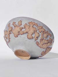 Image 2 of Saladier Tellus n°3