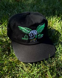  Eagle Skull Hat Black
