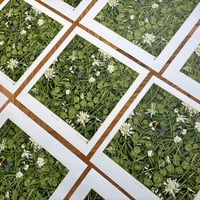 Image 5 of Tangled Clover