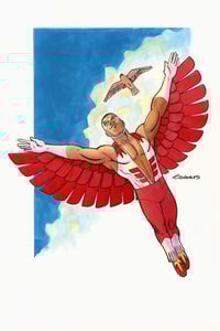 The Falcon and Redwing